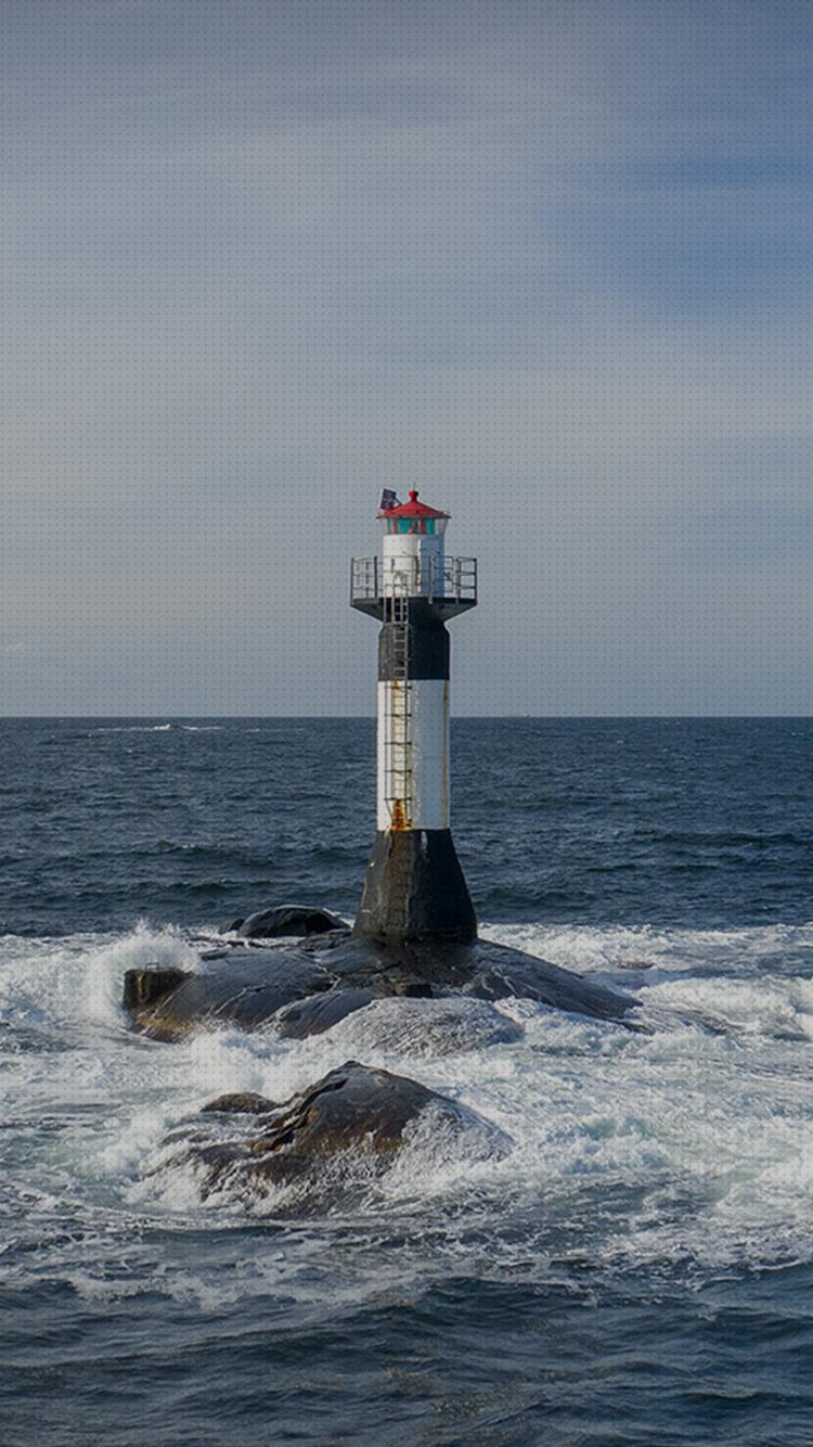 万向
